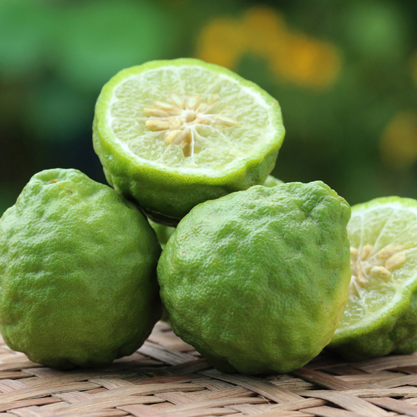 Bergamot-uses