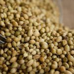 Coriander-Seed-Oil-Benefits