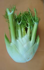 Fennel-health-benefits