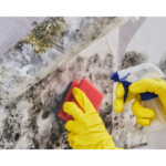 Getting rid of mold