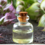 Clary Sage essential oil - uses and benefits